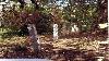 2.6-hectare Land for Sale in Lipa, Batangas